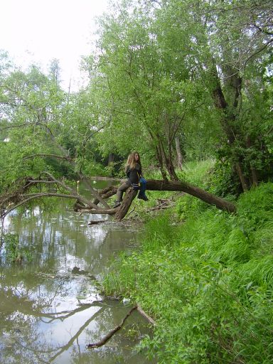 Et au milieu coule une rivire