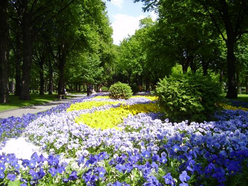 Les jardins du Kremlin